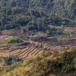 Đánh giá của người chơi 3